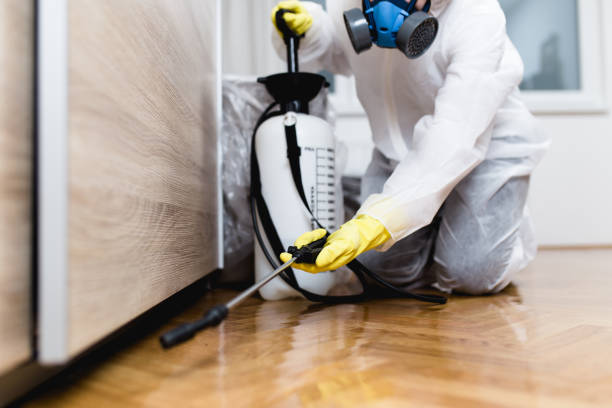 Best Affordable Pest Control Services  in Brookfield Center, OH