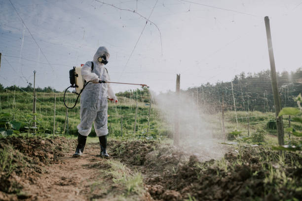Best Commercial Pest Control Services  in Brookfield Center, OH