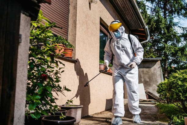 Best Pest Inspection Near Me  in Brookfield Center, OH