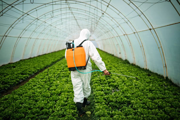 Best Pest Control Cost  in Brookfield Center, OH