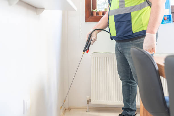 Best Termite Control Services  in Brookfield Center, OH