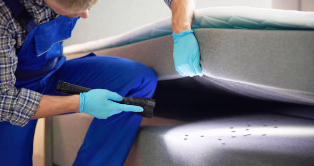 Best Flea Control Services  in Brookfield Center, OH