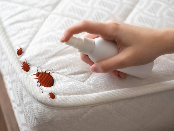 Best Mosquito Control Services  in Brookfield Center, OH