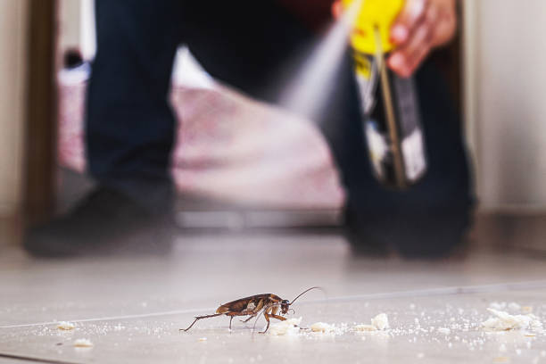 Best Pest Control for Businesses  in Brookfield Center, OH