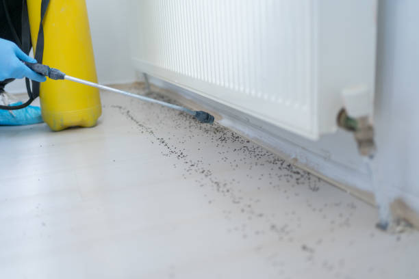 Best Affordable Pest Control Services  in Brookfield Center, OH