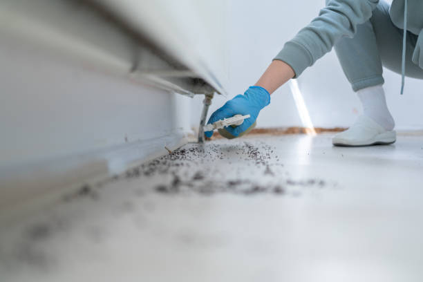 Best Emergency Pest Control  in Brookfield Center, OH