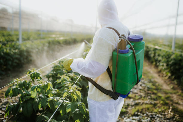 Best Best Pest Control Companies  in Brookfield Center, OH